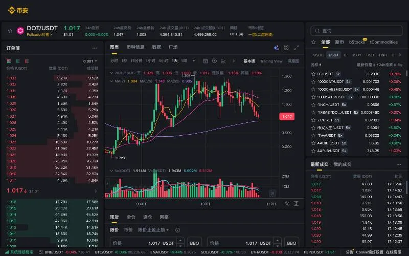 币安 DOT/USDT 现货交易页面